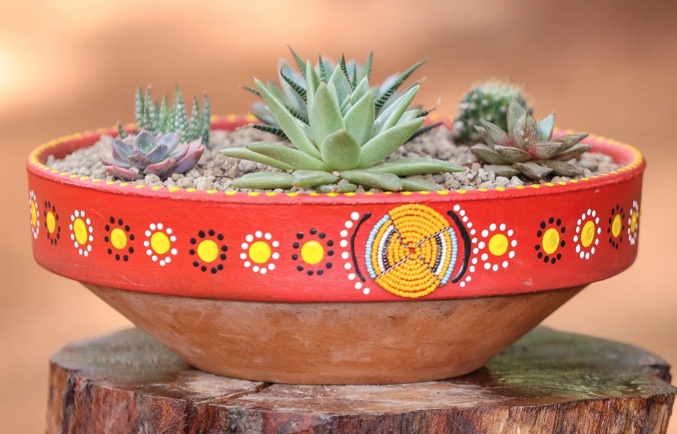 Plants Gifting ideas - Slide 1-min